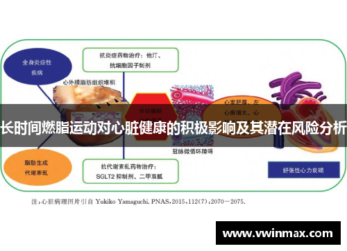 长时间燃脂运动对心脏健康的积极影响及其潜在风险分析